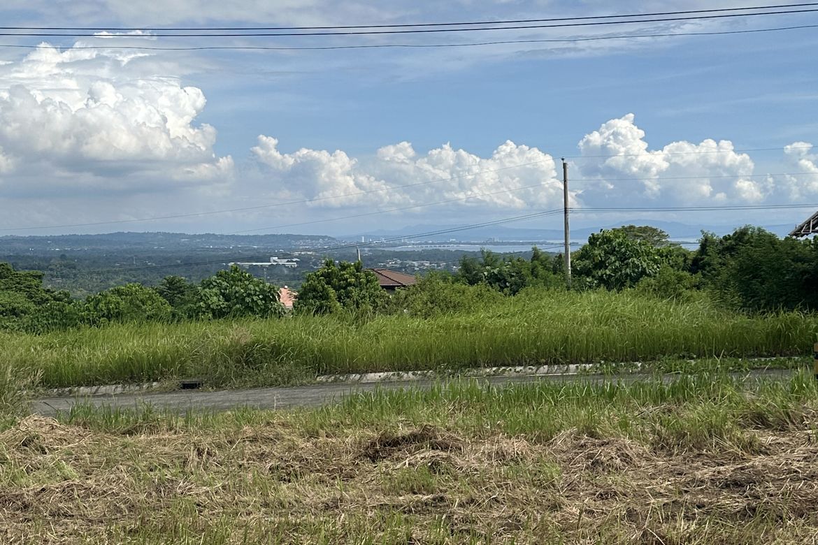 Land for Sale in Sirawan, Davao City, Davao del Sur – photo 4