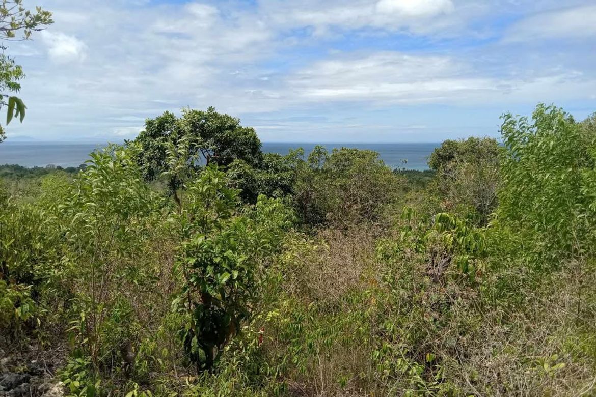 Land for Sale in Solangon, San Juan, Siquijor