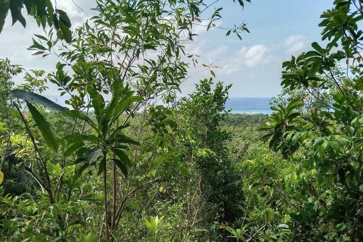 Land for Sale in Solangon, San Juan, Siquijor – photo 2