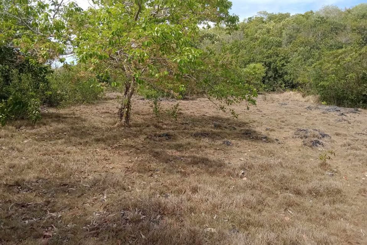 Land for Sale in Solangon, San Juan, Siquijor – photo 4