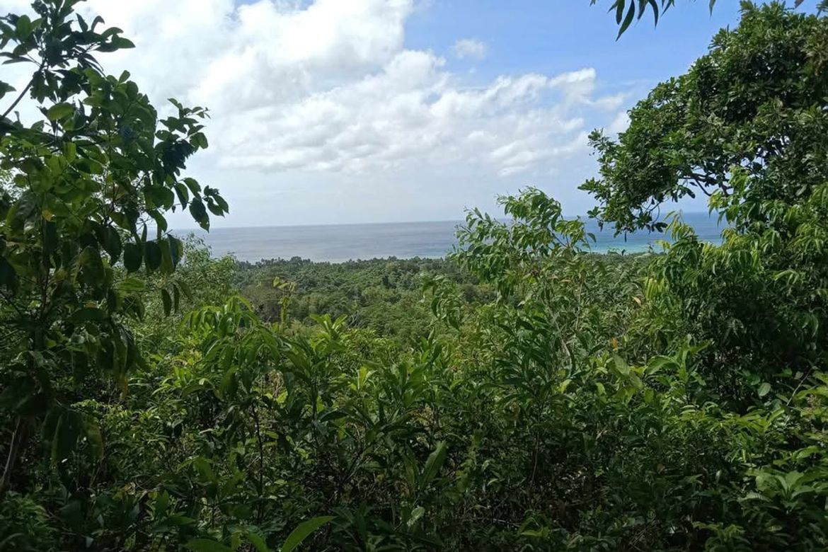 Land for Sale in Solangon, San Juan, Siquijor – photo 5