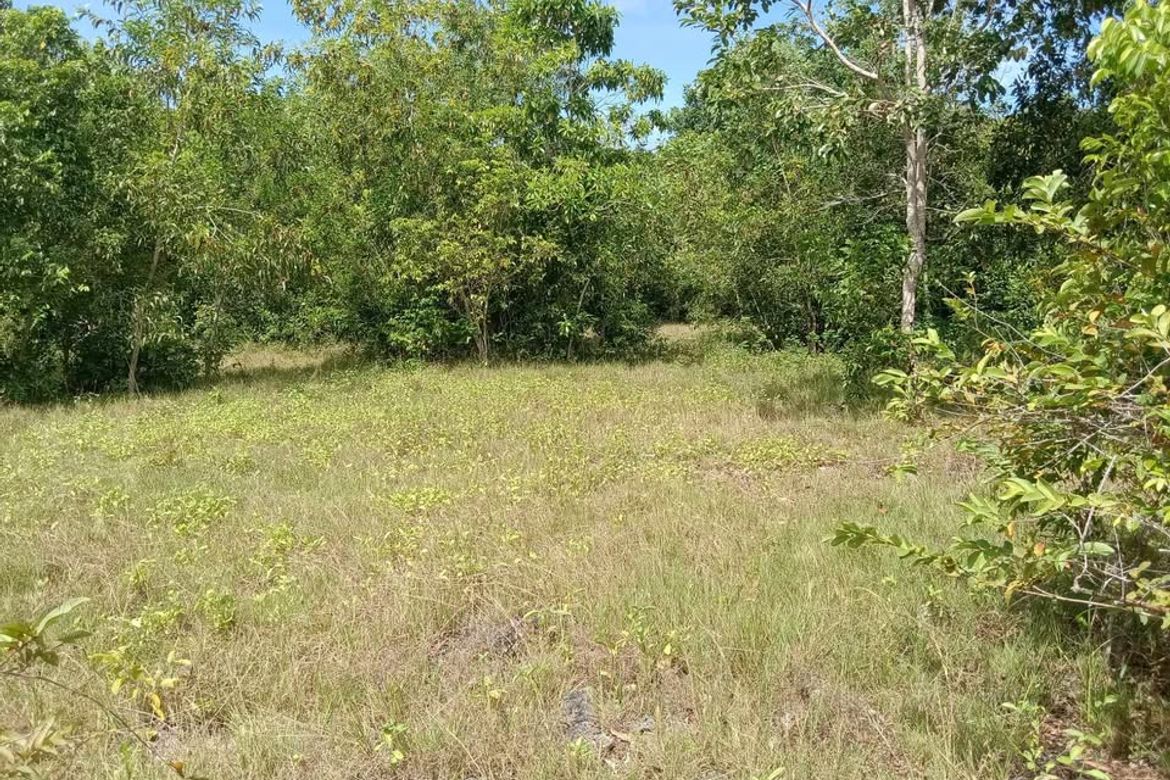Land for Sale in Solangon, San Juan, Siquijor – photo 7