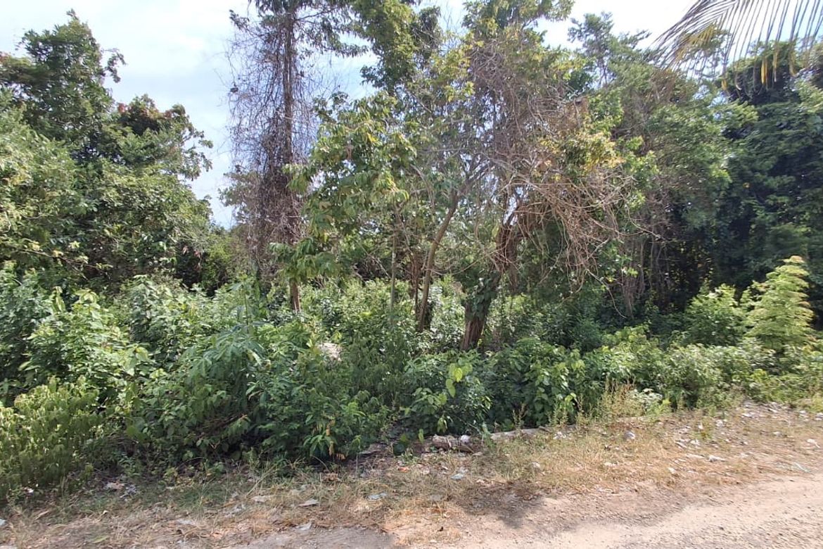 Land for Sale in Solangon, San Juan, Siquijor – photo 2