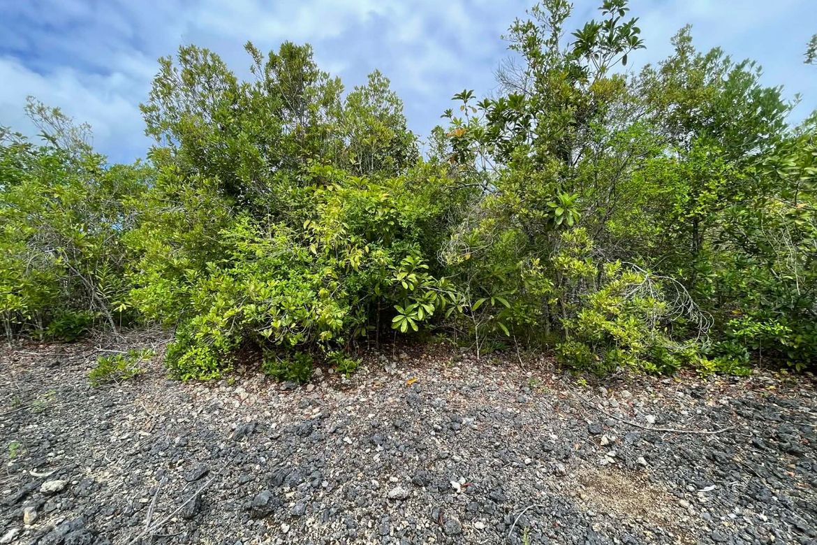 Land for Sale in Solangon, San Juan, Siquijor – photo 2