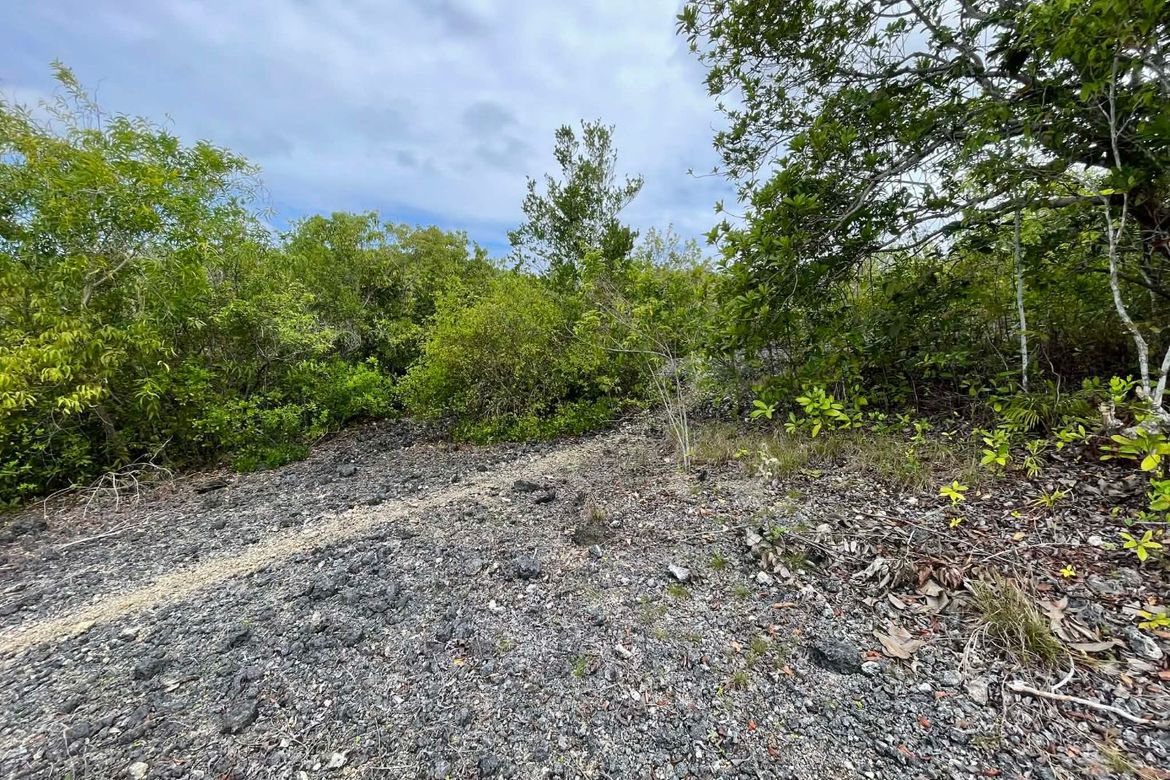 Land for Sale in Solangon, San Juan, Siquijor – photo 3