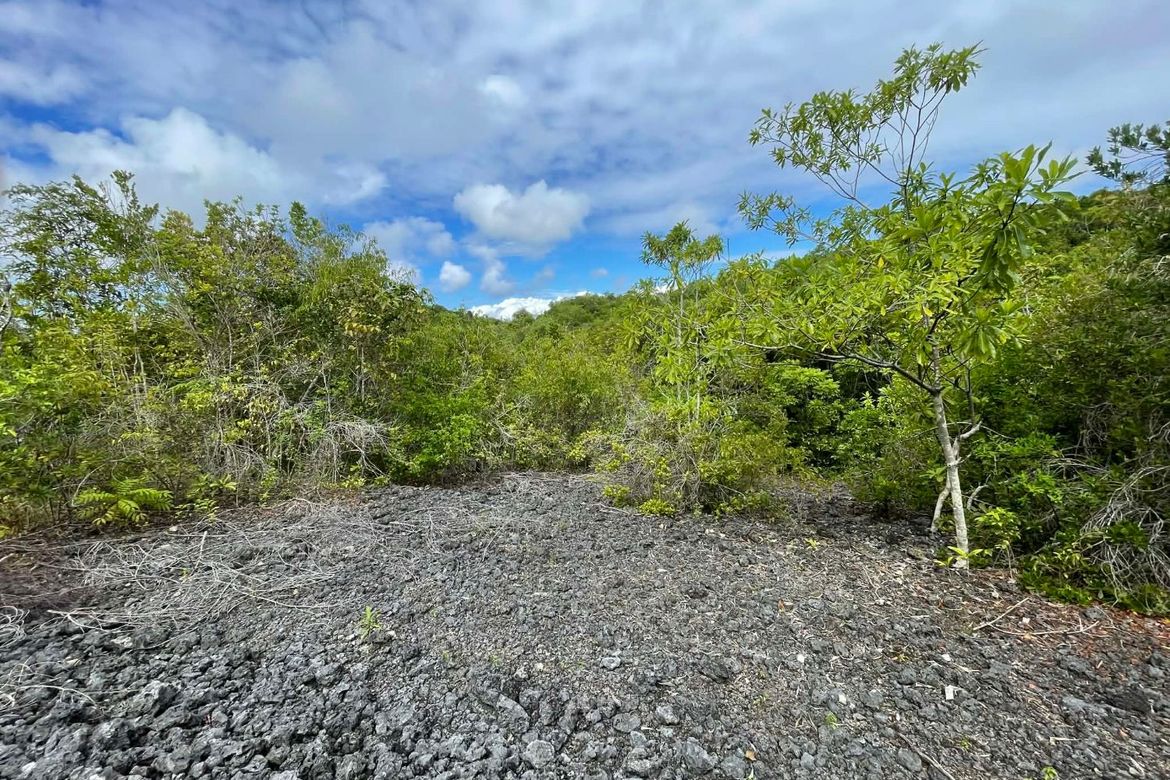 Land for Sale in Solangon, San Juan, Siquijor – photo 5