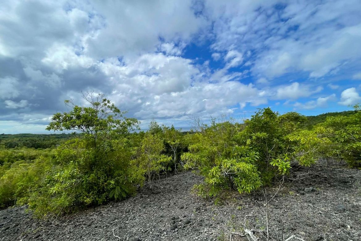 Land for Sale in Solangon, San Juan, Siquijor – photo 6