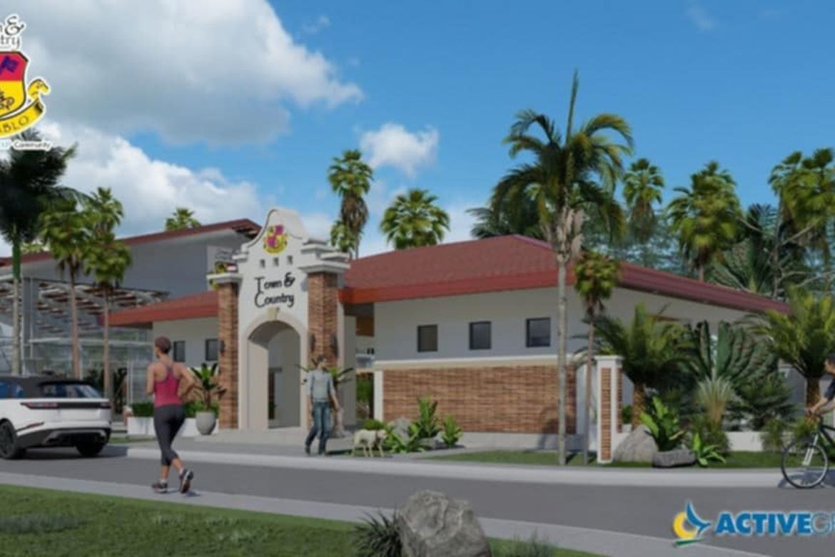 Land for Sale in Soledad, San Pablo, Laguna – photo 3