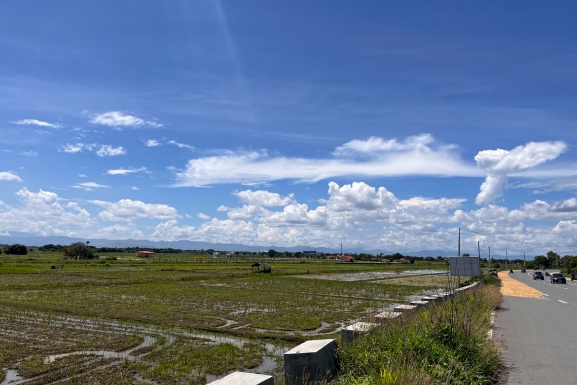 Land for Sale in Soledad, Santa Rosa, Nueva Ecija – photo 3