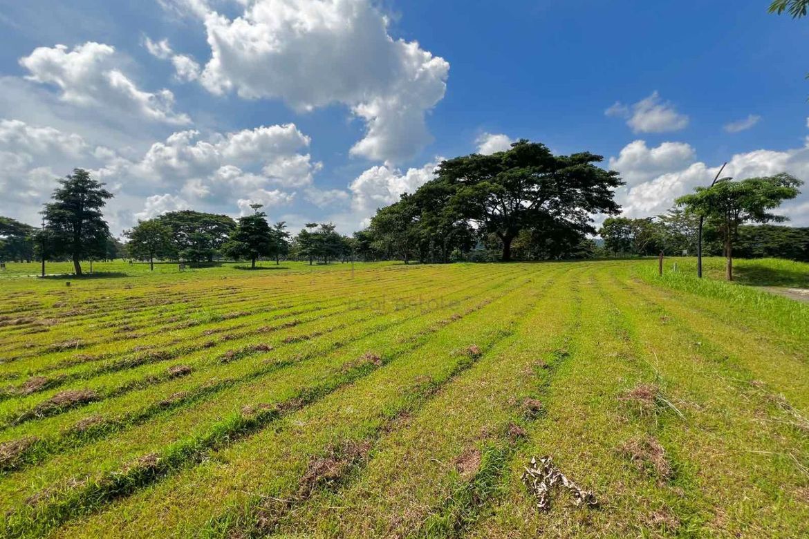 Land for Sale in Soliento, Canlubang, Calamba, Laguna – photo 4