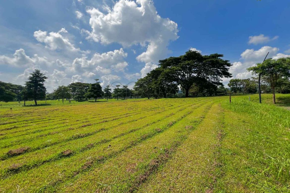 Land for Sale in Soliento, Canlubang, Calamba, Laguna – photo 8