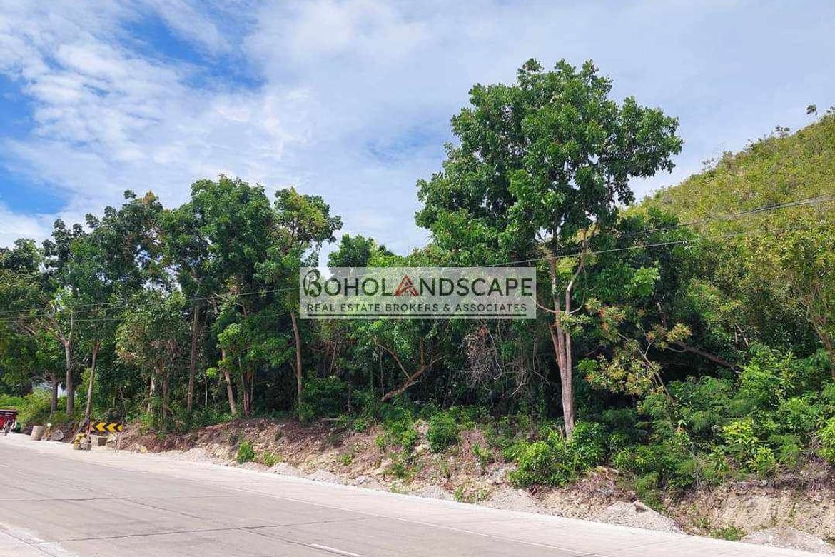 Land for Sale in Song-On, Loon, Bohol – photo 2