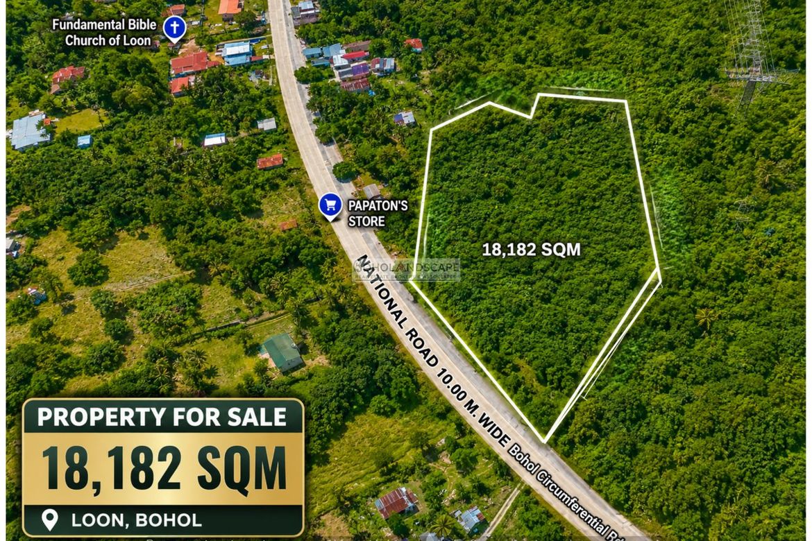 Land for Sale in Song-On, Loon, Bohol – photo 3