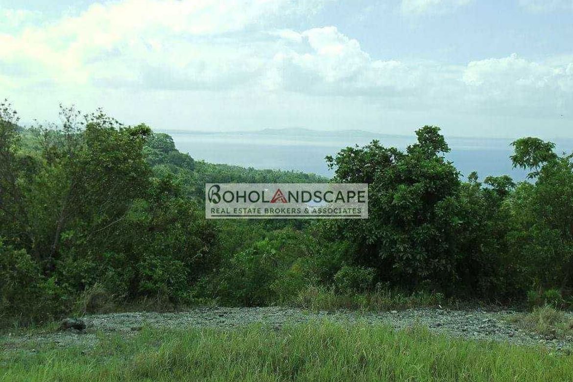 Land for Sale in Song-On, Loon, Bohol – photo 6