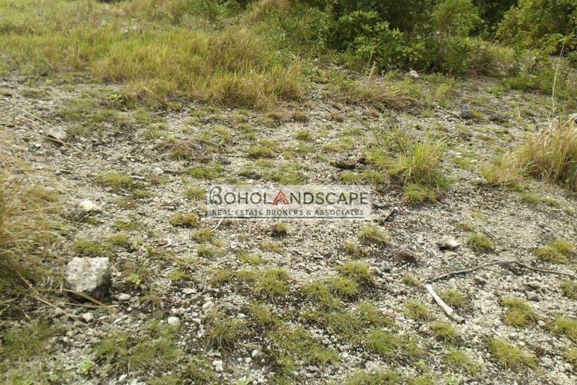 Land for Sale in Song-On, Loon, Bohol – photo 7