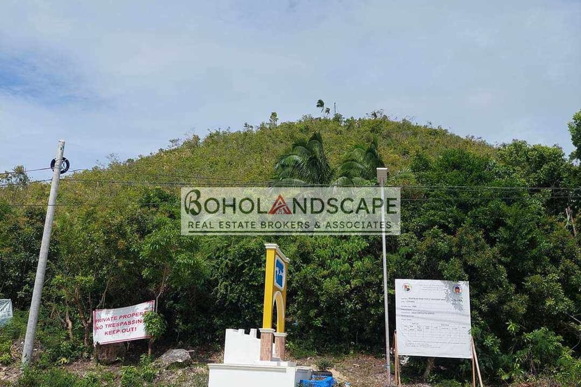 Land for Sale in Song-On, Loon, Bohol – photo 8