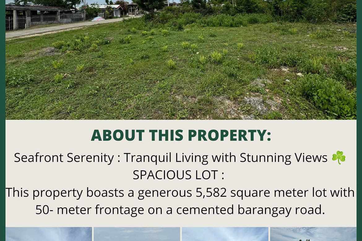 Land for Sale in Songculan, Dauis, Bohol