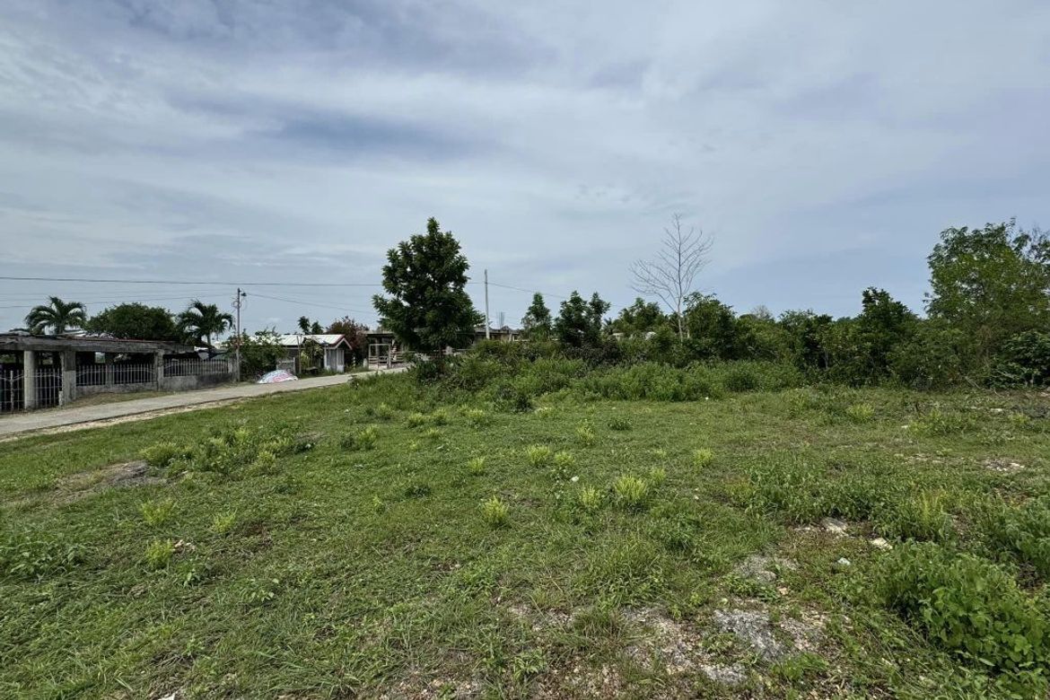Land for Sale in Songculan, Dauis, Bohol – photo 2