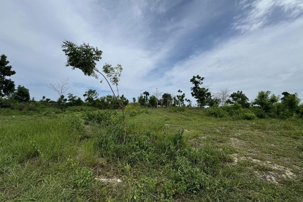 Land for Sale in Songculan, Dauis, Bohol – photo 3