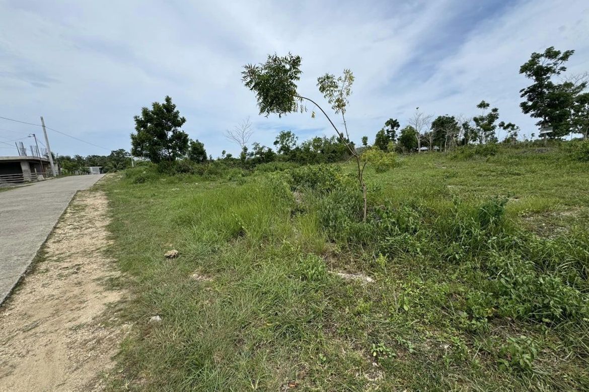 Land for Sale in Songculan, Dauis, Bohol – photo 6