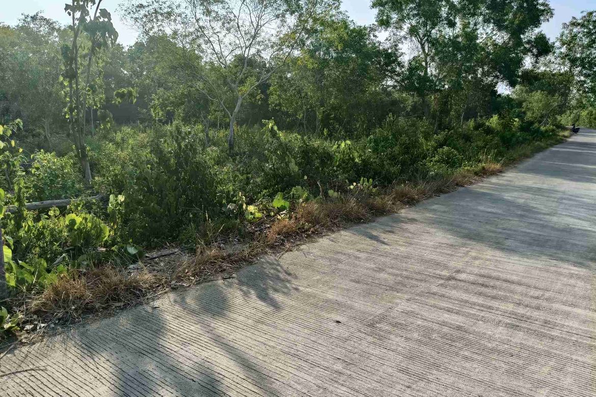 Land for Sale in Songculan, Dauis, Bohol – photo 2