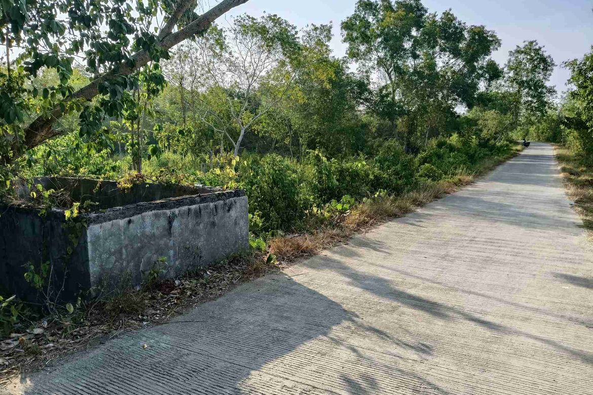Land for Sale in Songculan, Dauis, Bohol – photo 3
