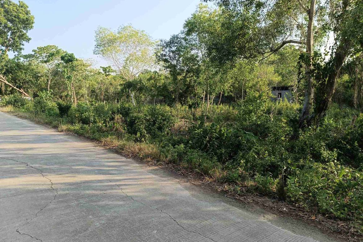 Land for Sale in Songculan, Dauis, Bohol – photo 4