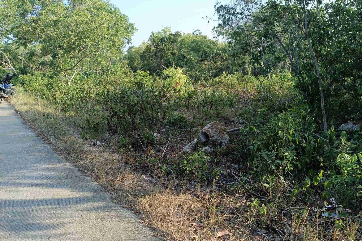 Land for Sale in Songculan, Dauis, Bohol – photo 6