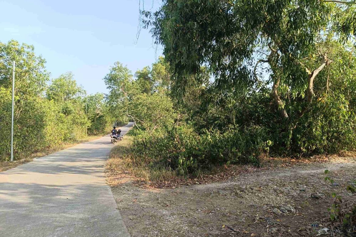 Land for Sale in Songculan, Dauis, Bohol – photo 7