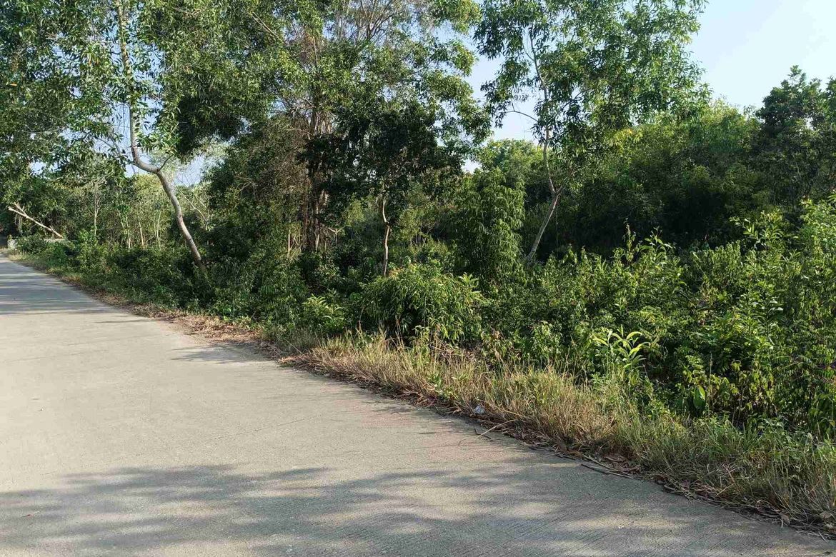 Land for Sale in Songculan, Dauis, Bohol – photo 8