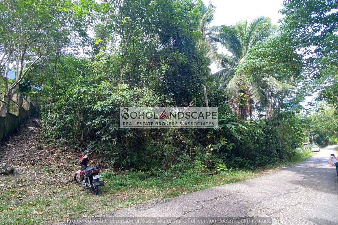 Land for Sale in Songculan, Dauis, Bohol