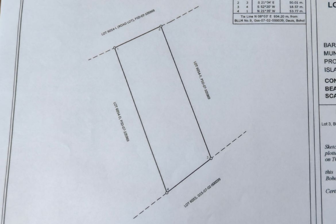 Land for Sale in Songculan, Dauis, Bohol – photo 6