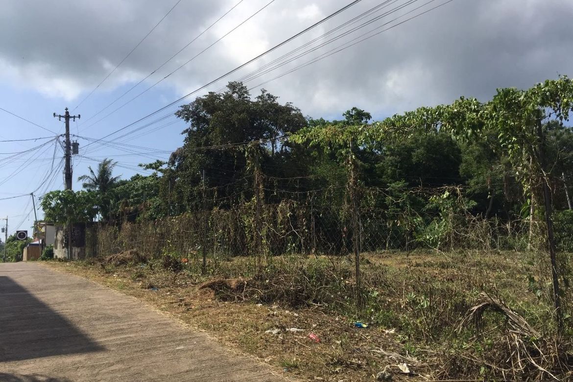 Land for Sale in Songculan, Dauis, Bohol – photo 8