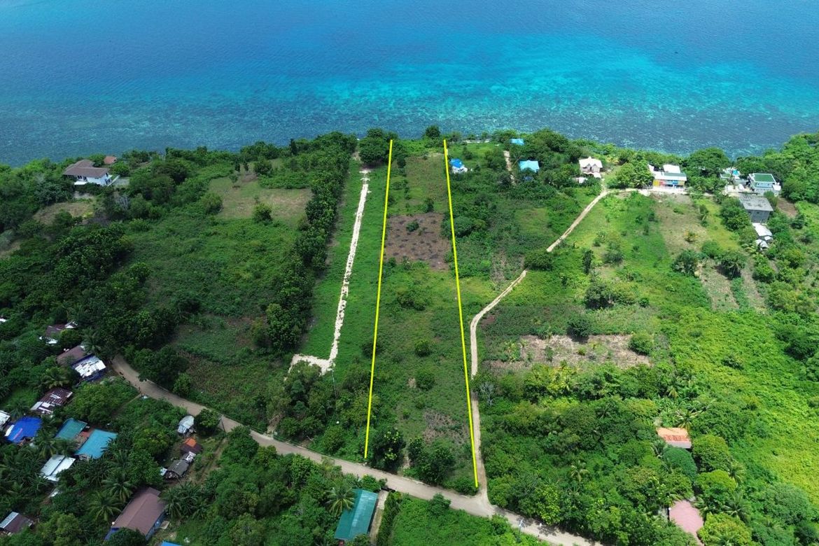 Land for Sale in Sonog, San Francisco, Cebu – photo 2