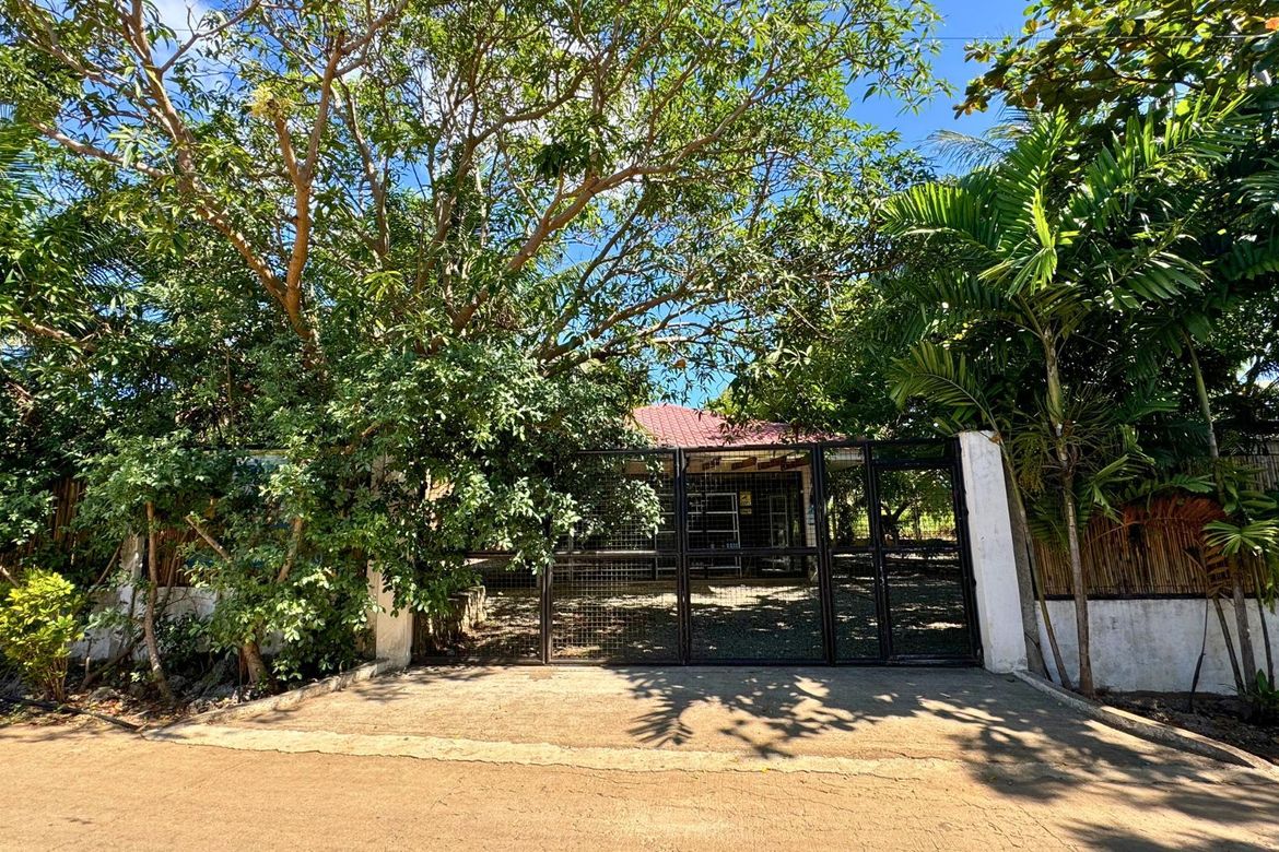 Land for Sale in Sonog, San Francisco, Cebu – photo 6