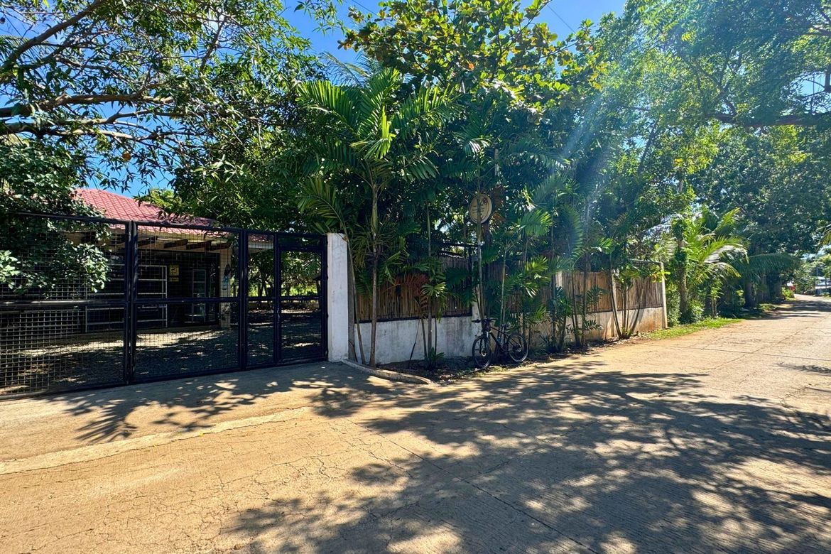 Land for Sale in Sonog, San Francisco, Cebu – photo 7