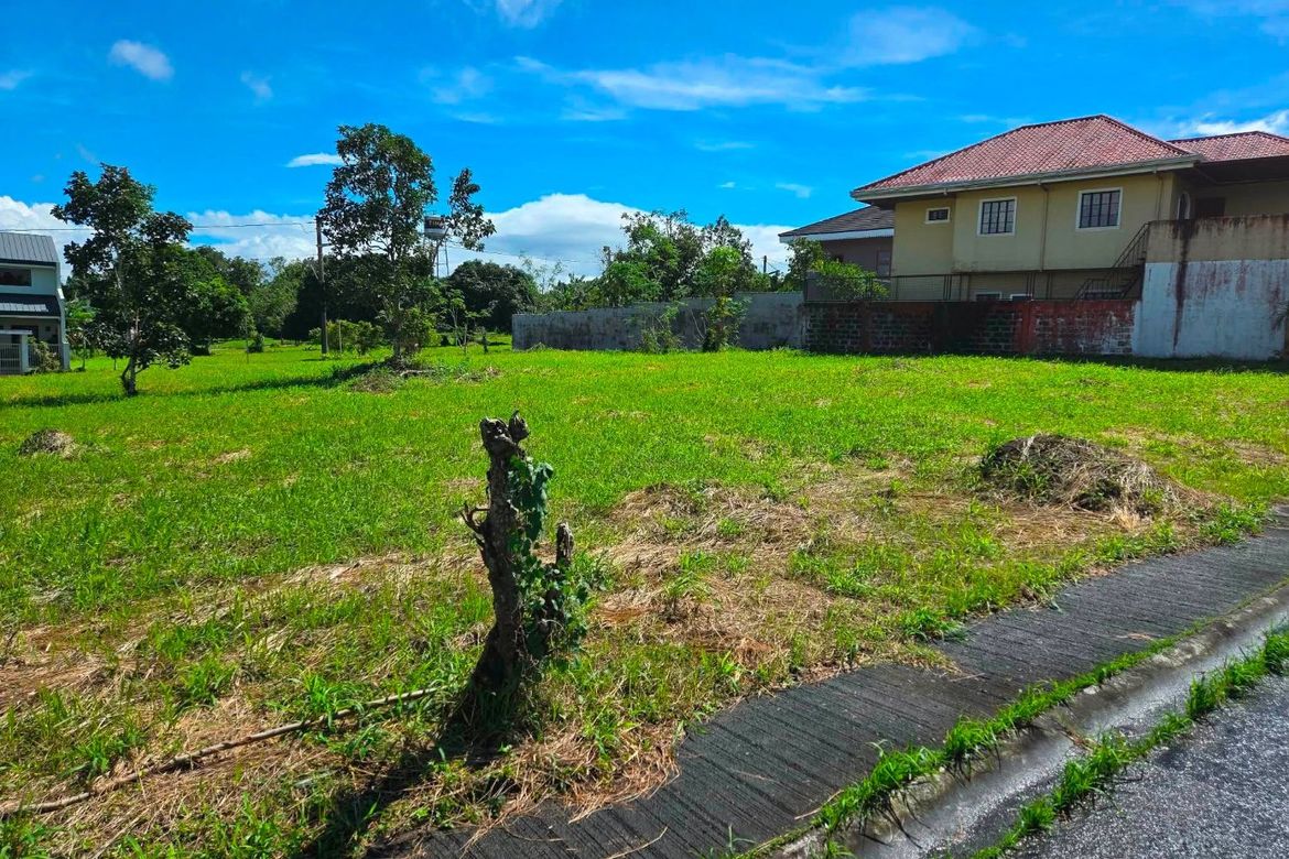 Land for Sale in South Midland, Narra II, Silang, Cavite – photo 2