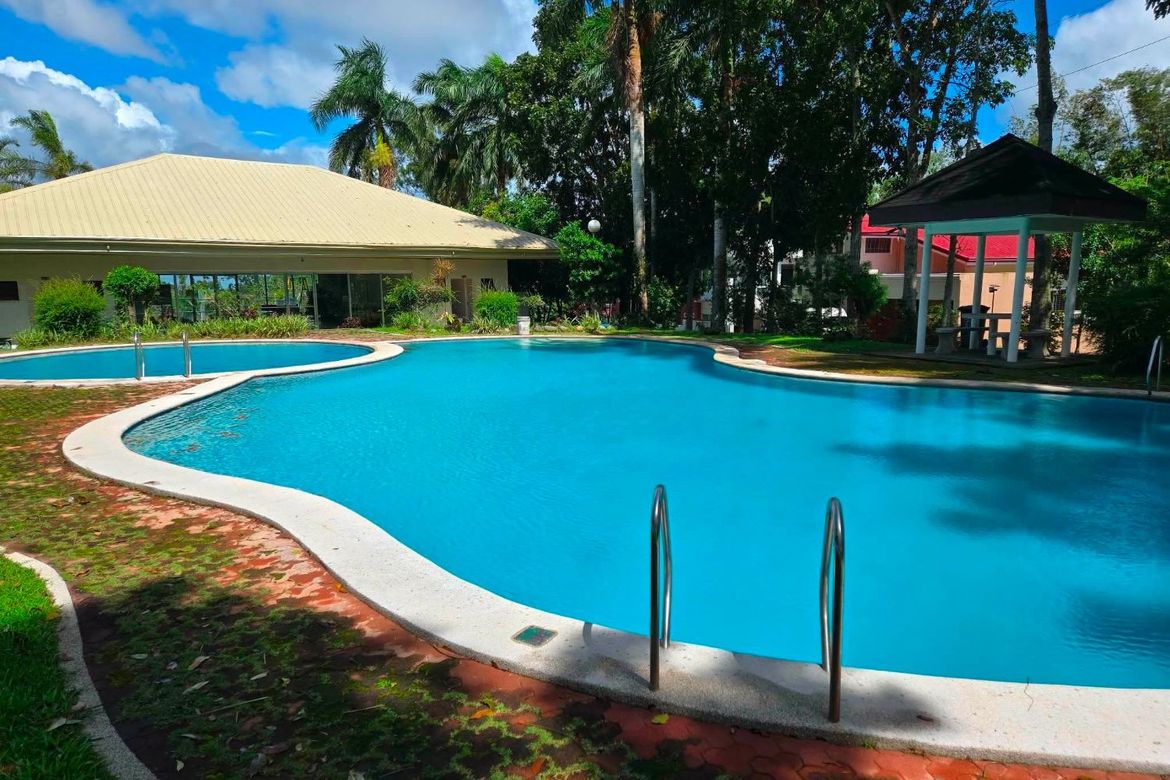 Land for Sale in South Midland, Narra II, Silang, Cavite – photo 4