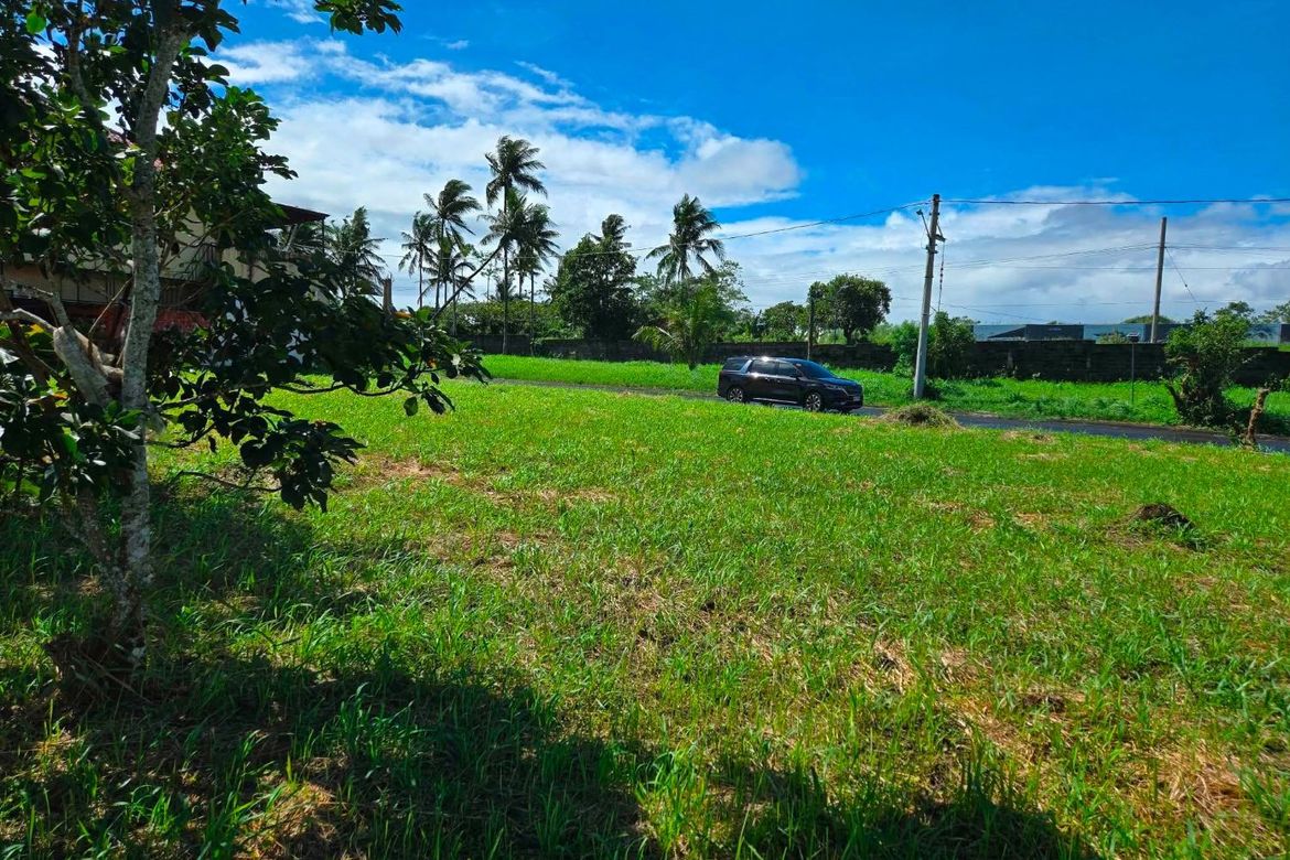 Land for Sale in South Midland, Narra II, Silang, Cavite – photo 6