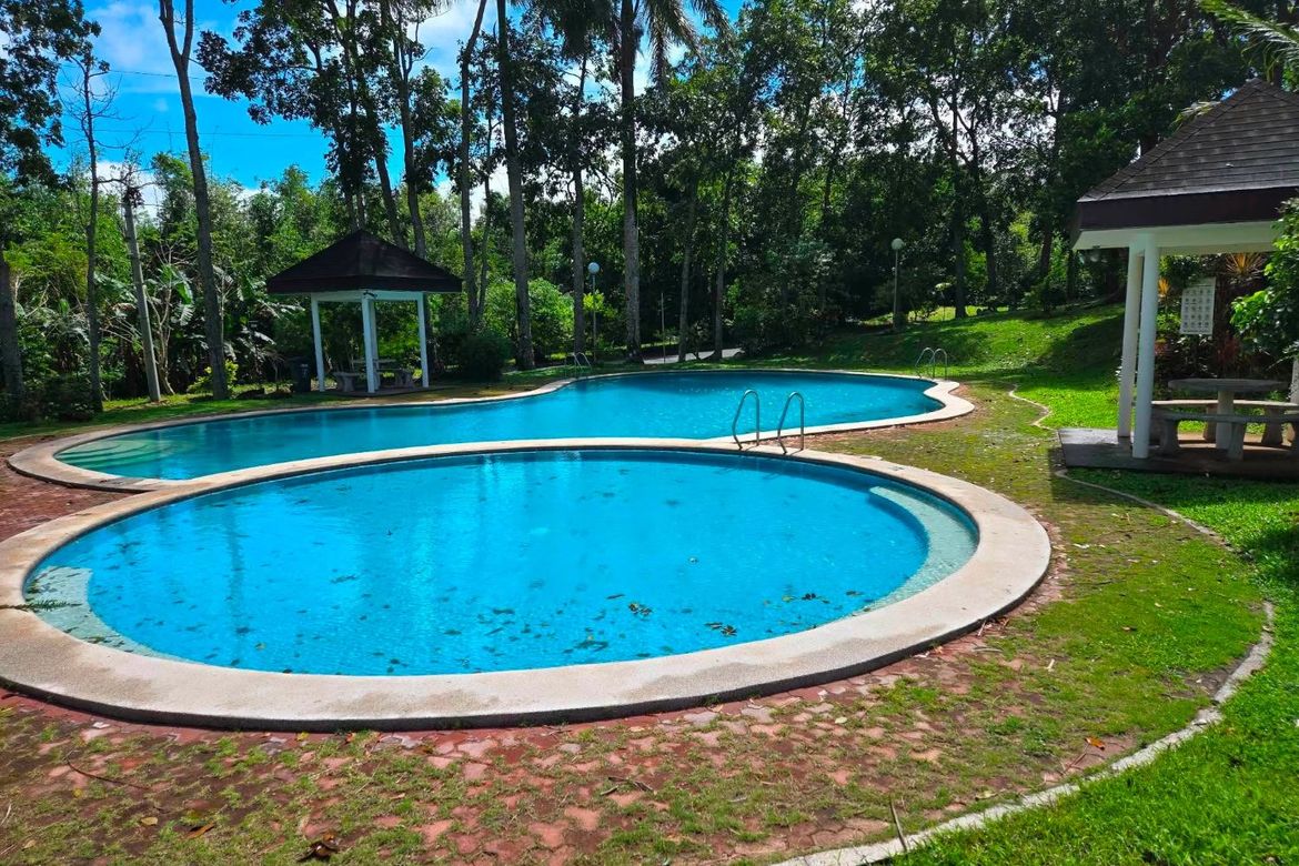 Land for Sale in South Midland, Narra II, Silang, Cavite – photo 8