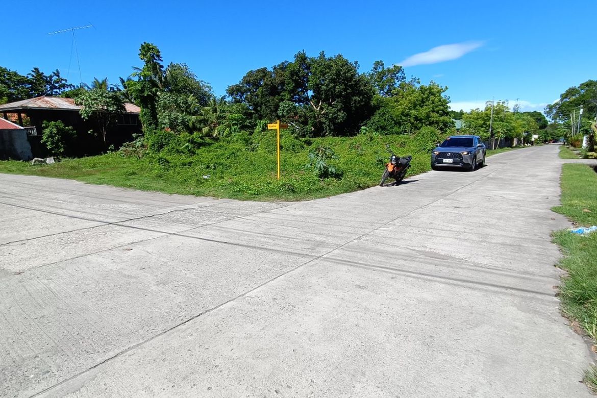 Land for Sale in South Poblacion, Bacong, Negros Oriental