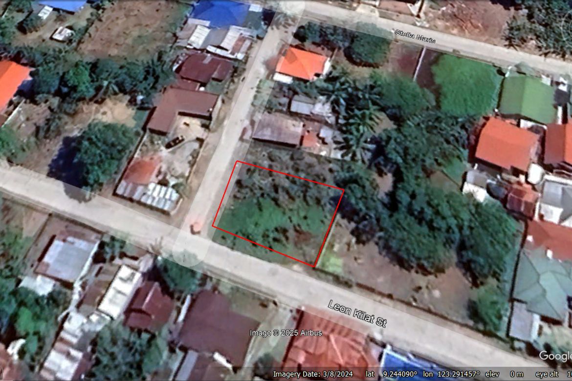 Land for Sale in South Poblacion, Bacong, Negros Oriental – photo 3