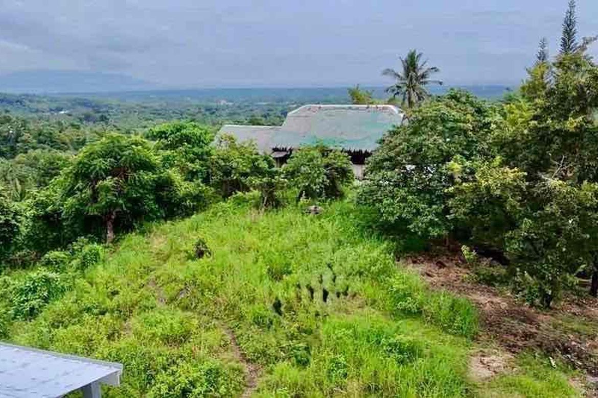 Land for Sale in South Poblacion, Valencia, Negros Oriental – photo 2