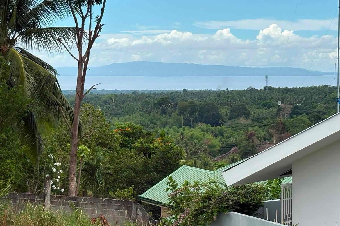 Land for Sale in South Poblacion, Valencia, Negros Oriental – photo 3