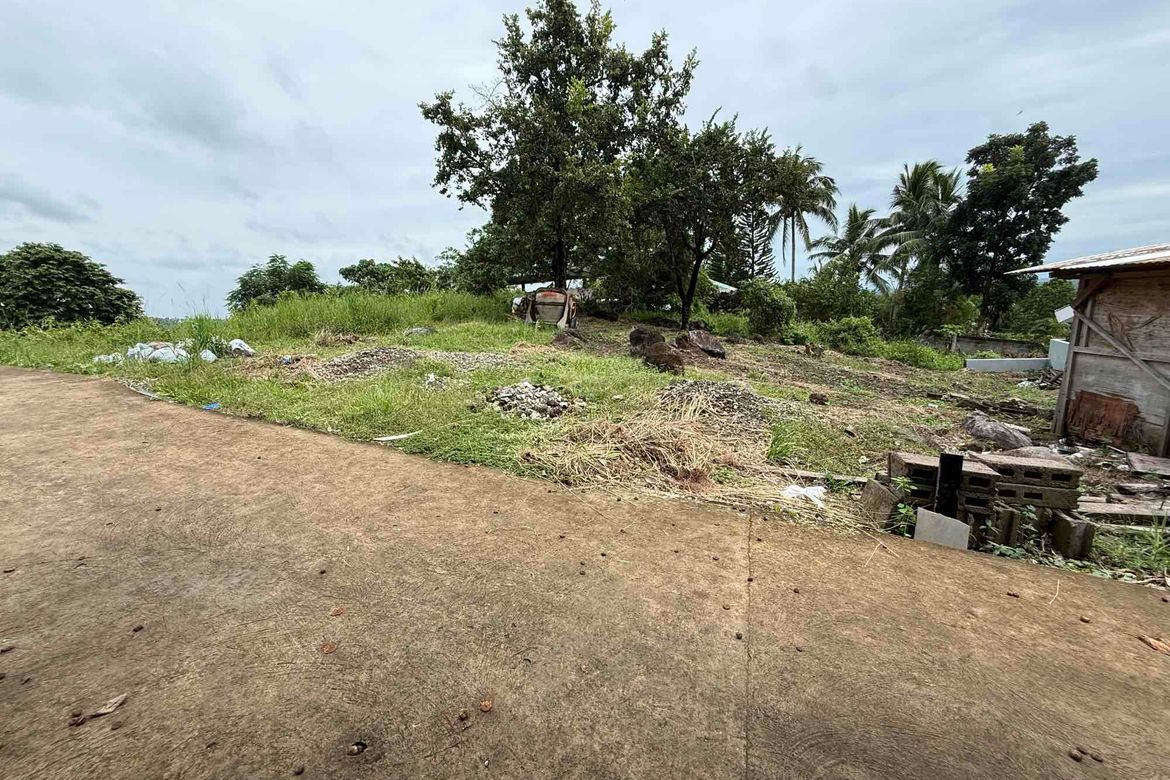 Land for Sale in South Poblacion, Valencia, Negros Oriental – photo 4
