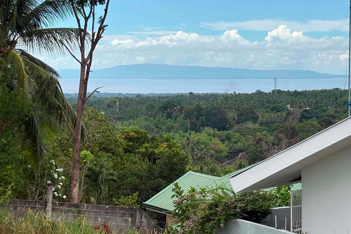 Land for Sale in South Poblacion, Valencia, Negros Oriental – photo 5