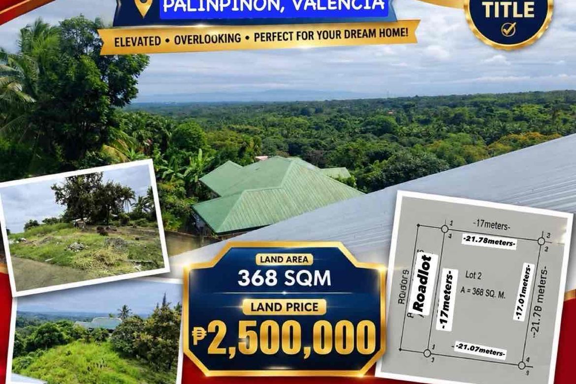 Land for Sale in South Poblacion, Valencia, Negros Oriental – photo 7