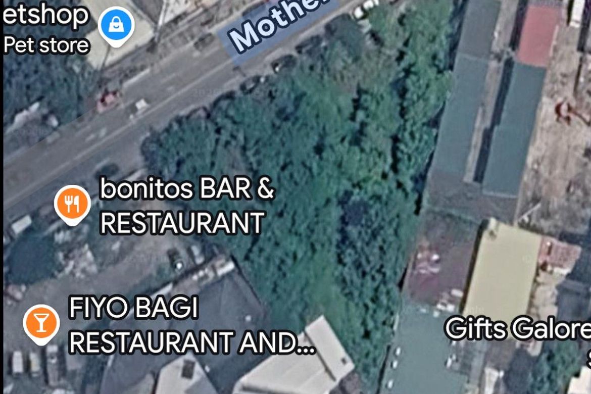 Land for Sale in South Triangle, Quezon City, Metro Manila near MRT-3 Quezon Avenue – photo 7