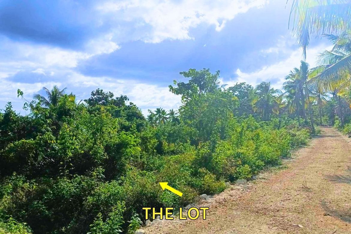 Land for Sale in Southern Poblacion, San Francisco, Cebu – photo 2