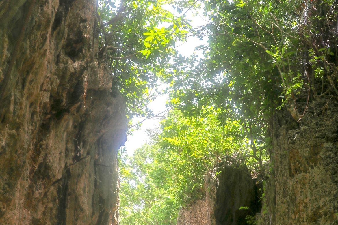 Land for Sale in Southern Poblacion, San Francisco, Cebu – photo 6